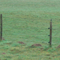 ab13765c969e761df04b0985b69f3361.png