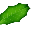 0009b8c83d5a9b2f36f8e765bea12428.png