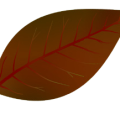 14dedcce63a39e51521161b25f609970.png