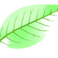 4729a158dfbac52eeabe70ea446617eb.png