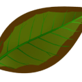 4834dfd912012a104a409cc013622ef4.png