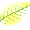 502d8f2f7a7e0032c1da6a7c3722ba8b.png