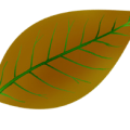 a865e5abd1d39a3ca7241ffdd8fb9738.png