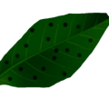abcf3a69788e3e30e96a085fdcb9e4b7.png