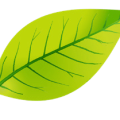 b252d6dab01923eb5a83c7afeffc601a.png