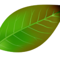 cdacd0d776eaad254bd577416aa1cb17.png