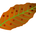 ce8320a4c2db105f57cfaafec5acc3b7.png