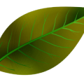 d3baa074572ef3ce380367d2be331e59.png