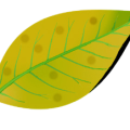 fe0cb79de7c13d6c944fe84df02c8981.png