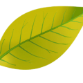 ff56f77d2268d658bb2c7283139dbe7d.png