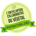 logo-old.png